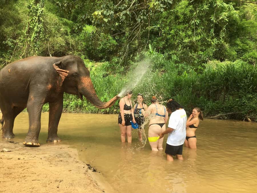 Chiang Mai: 2-Day Jungle Trek with Elephant Farm & Raft Ride - From Chiang Mai streets to the Mae Wang River