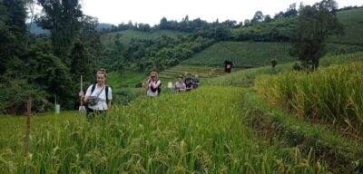 2-Day Jungle Trek with Elephant Farm & Raft Ride