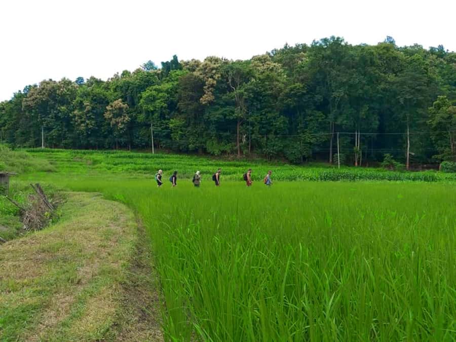 Chiang Mai: 2-Day Jungle Trek with Elephant Farm & Raft Ride - Evening with a Karen hill tribe family