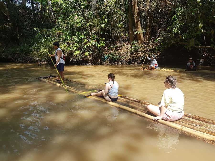 Chiang Mai: 2-Day Jungle Trek with Elephant Farm & Raft Ride - Meeting rescued elephants without riding them