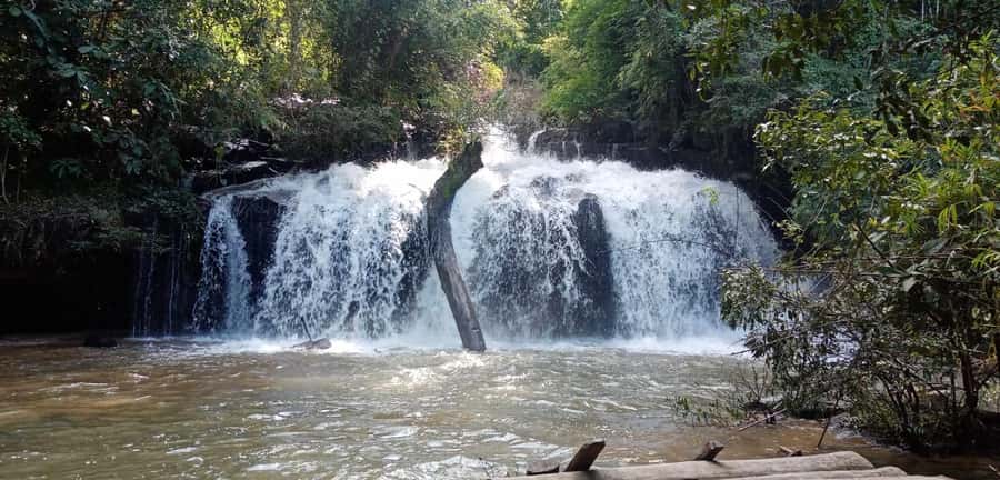 Chiang Mai: 2-Day Jungle Trek with Elephant Farm & Raft Ride - Bamboo rafting and the ride back to Chiang Mai