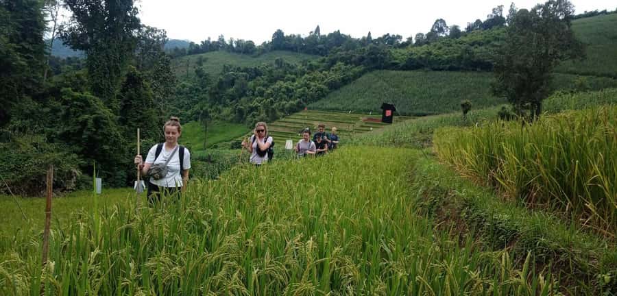 Chiang Mai: 2-Day Jungle Trek with Elephant Farm & Raft Ride - The waterfall stop is your first real reward