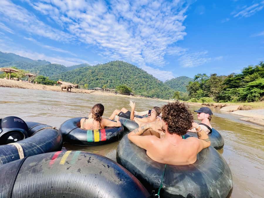 Chiang Mai 2-Day: Trekking, Tubing & Elephant Observation - Elephant observation and welfare