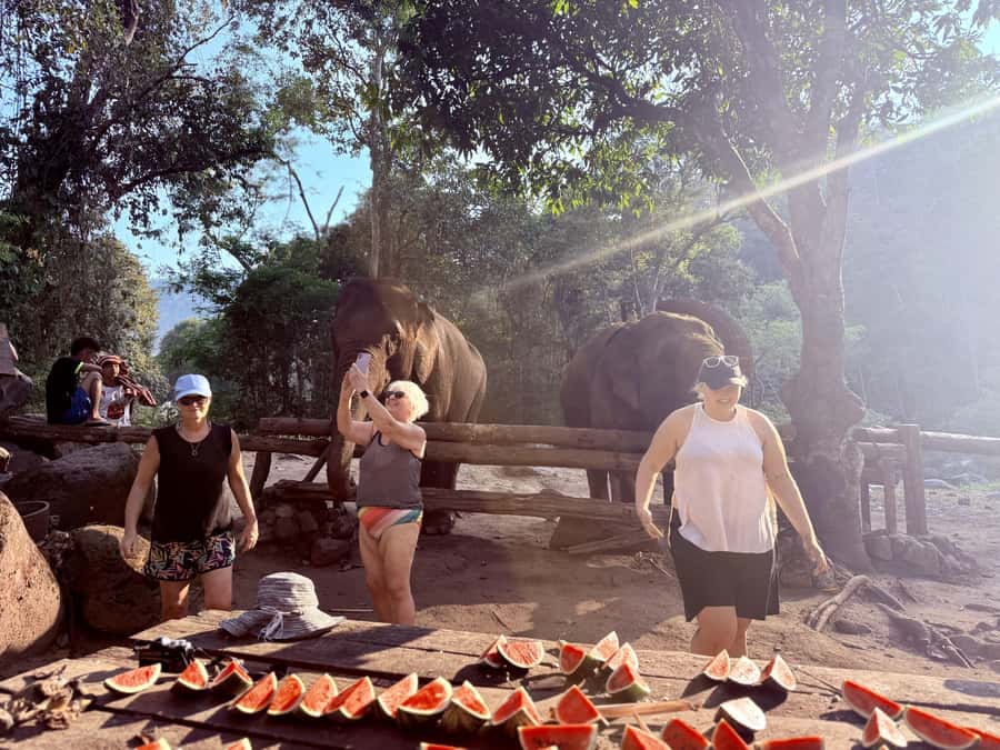 Chiang Mai 2-Day: Trekking, Tubing & Elephant Observation - Dinner, stars, and the overnight stay