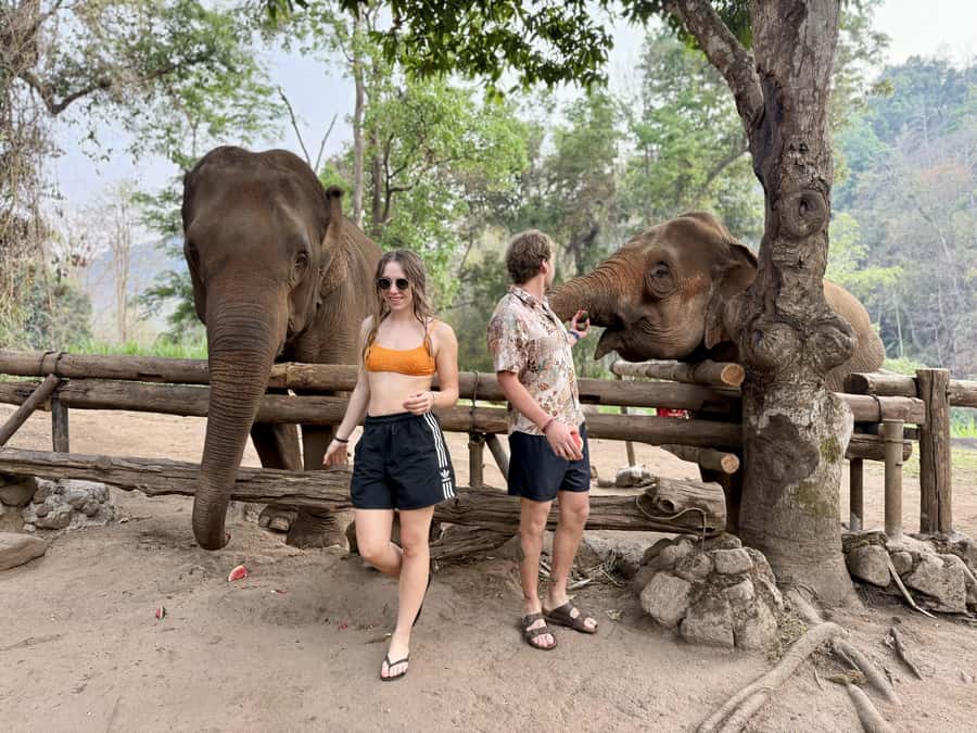 Chiang Mai 2-Day: Trekking, Tubing & Elephant Observation - A quiet second morning in Mae Taeng
