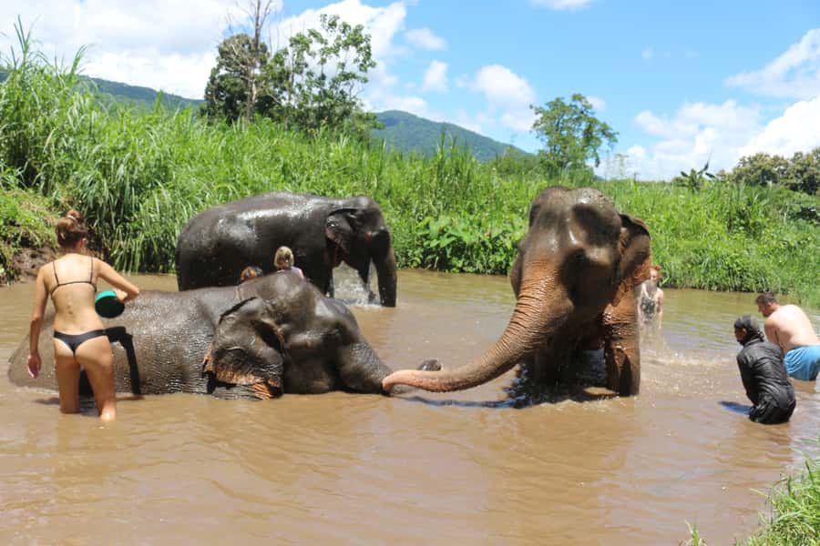 Chiang Mai: 2 Days, 1 Night Non-Tourist Trek - An evening with a Karen family