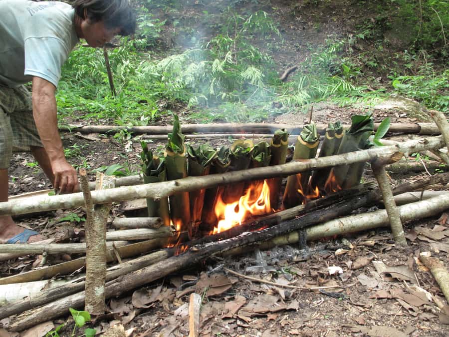 Chiang Mai: 2 Days, 1 Night Non-Tourist Trek - Leaving Chiang Mai at 7:00 to 7:30