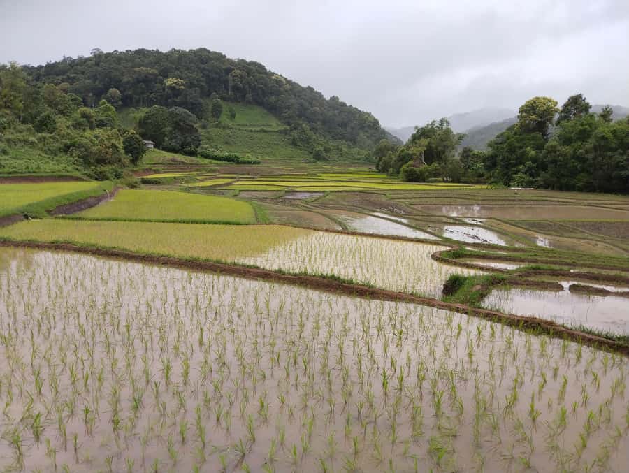 Chiang Mai: 2-Days Chiang Mai Amazing Trek - A Karen village night with simple comforts