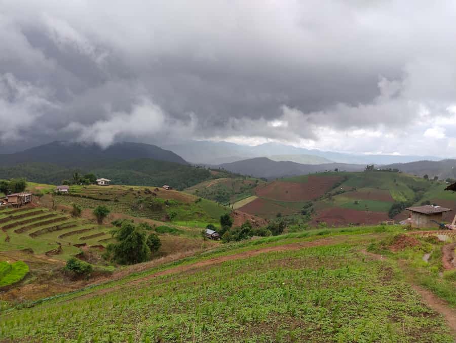 Chiang Mai: 2-Days Chiang Mai Amazing Trek - Bamboo rafting is the right finish