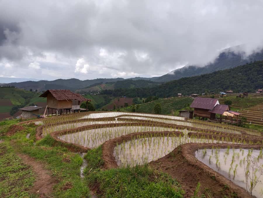 Chiang Mai: 2-Days Chiang Mai Amazing Trek - Who should book this trek