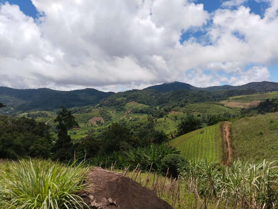Chiang Mai: 2-Days Chiang Mai Amazing Trek - Doi Suthep and Wat Pha Lat set the tone