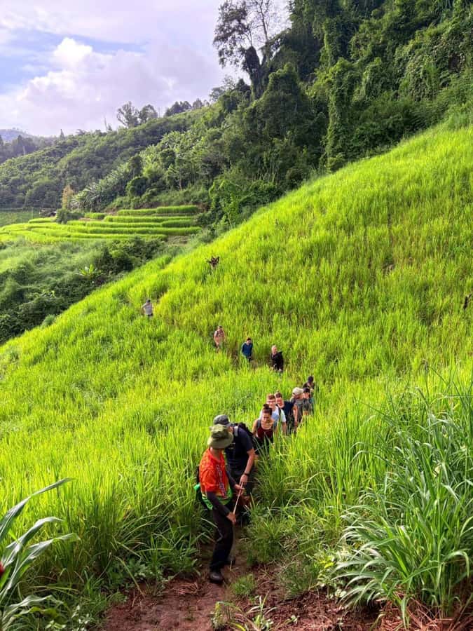 Chiang Mai: 2-Days Jungle Trek, Waterfalls and Karen Village - Day two: jungle trails, another village, and a final swim