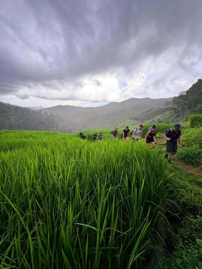 Chiang Mai: 2-Days Jungle Trek, Waterfalls and Karen Village - Who should book this trek?