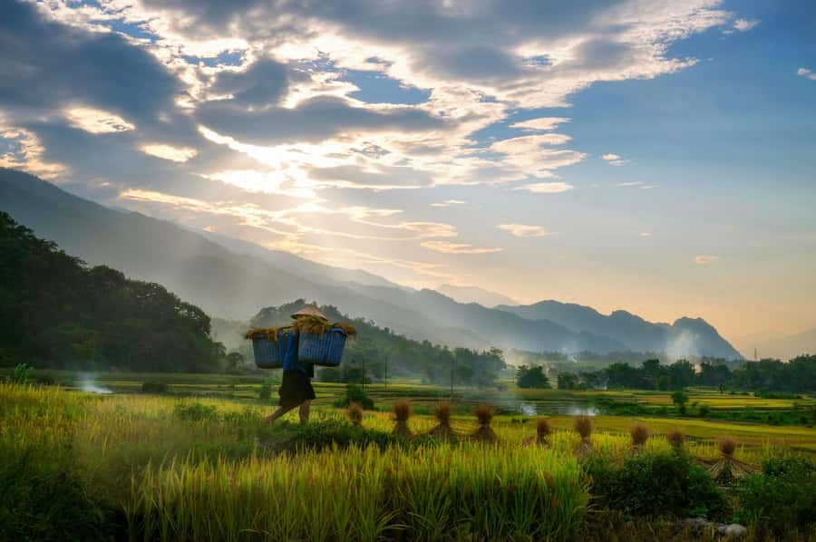 Chiang Mai: 3-Day Karen Hill Tribe Immersion with Trekking - Key details at a glance
