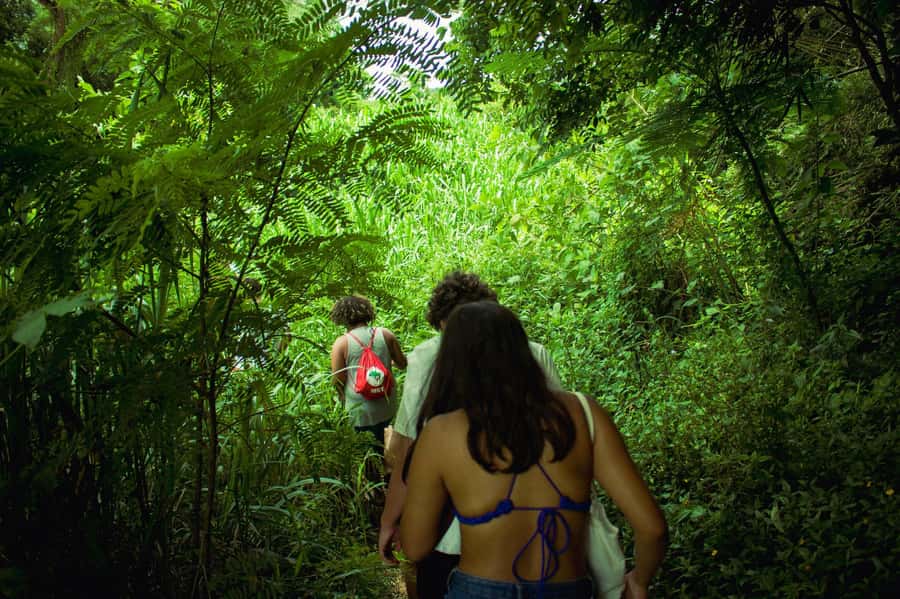 Chiang Mai: 3-Day Karen Hill Tribe Immersion with Trekking - What $158 buys you in Doi Inthanon