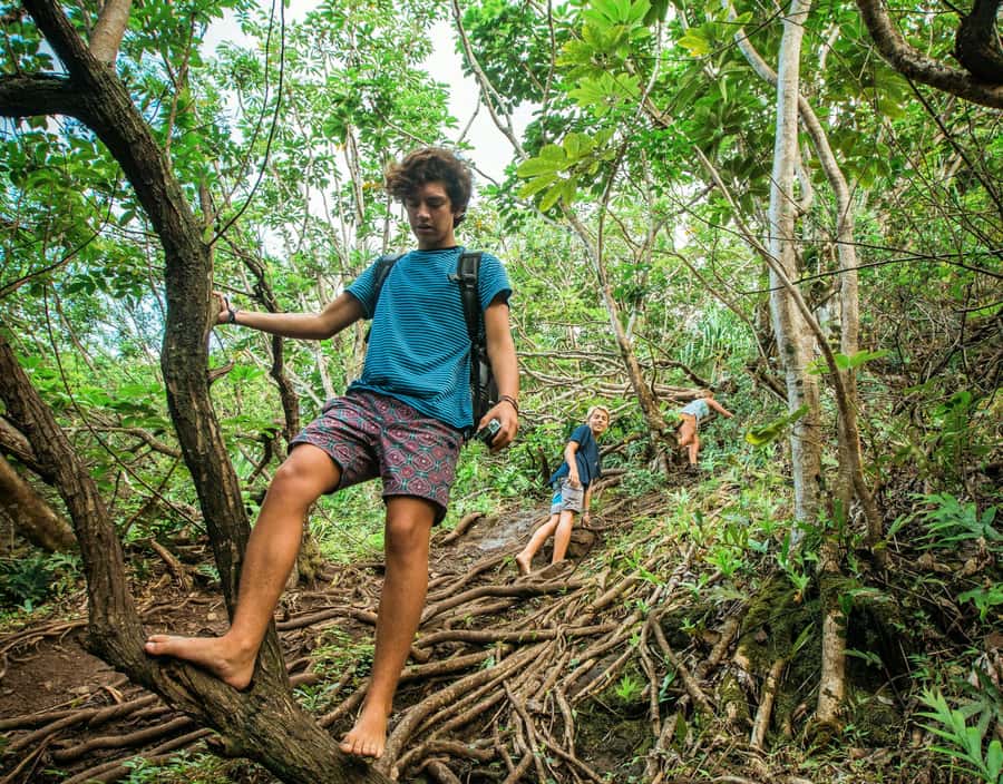 Chiang Mai: 3-Day Karen Hill Tribe Immersion with Trekking - Day 1: steep forest paths and a waterfall camp