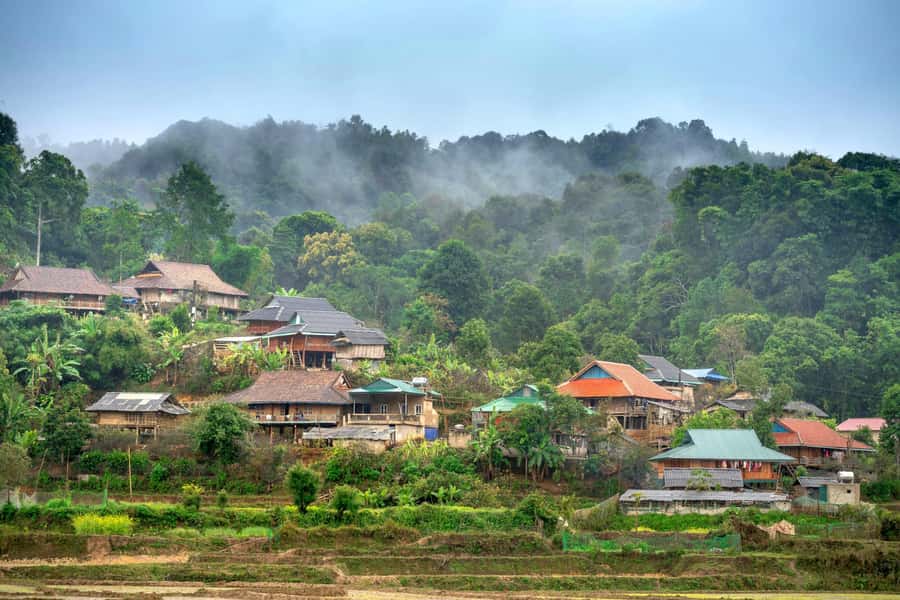 Chiang Mai: 3-Day Karen Hill Tribe Immersion with Trekking - Day 2: forest wildlife and two Karen villages