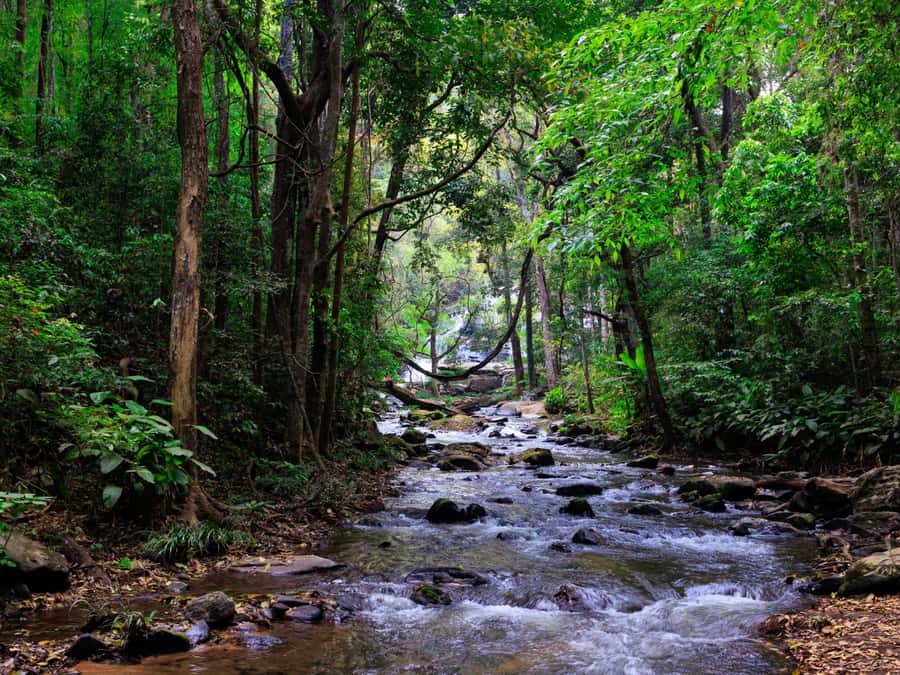 Chiang Mai: 3-Day Karen Hill Tribe Immersion with Trekking - The food, sleeping arrangements, and daily comfort
