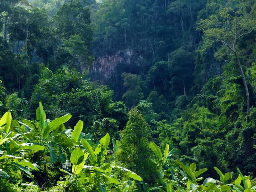 Chiang Mai: 3-Day Karen Hill Tribe Immersion with Trekking - How demanding is the trekking?