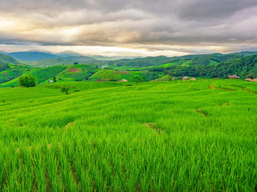Chiang Mai: 3-Day Karen Hill Tribe Immersion with Trekking - Respecting Karen community land