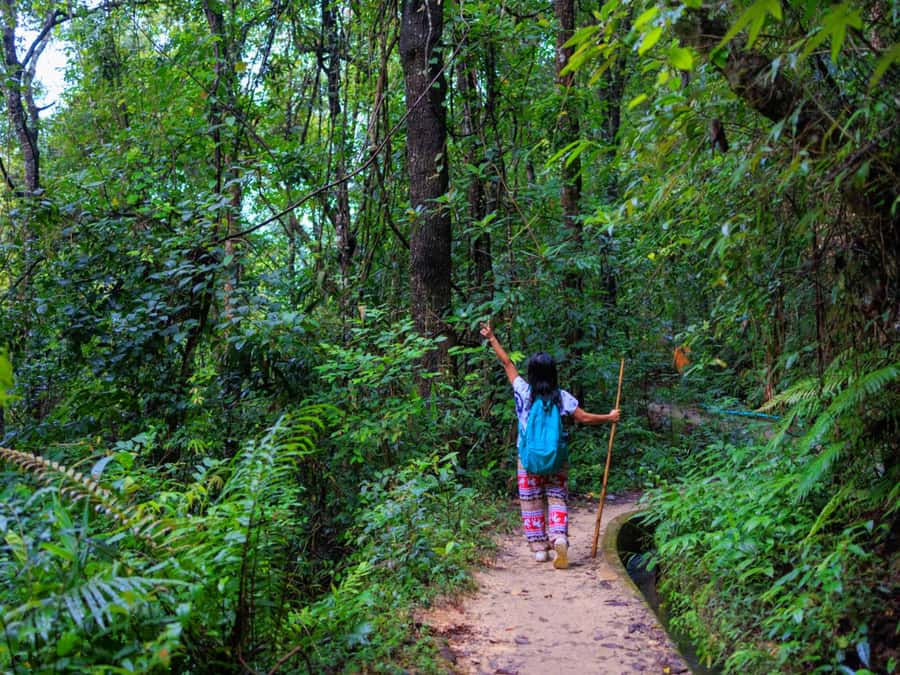 Chiang Mai: 3-Day Karen Hill Tribe Immersion with Trekking - The early pickup and road into the hills