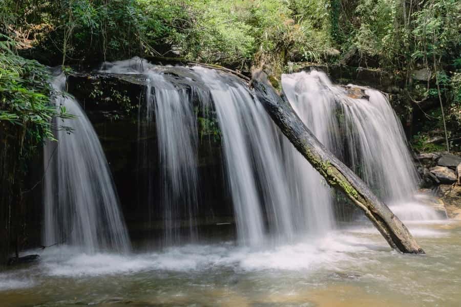 Chiang Mai: 3Days Nature&Cultural Trek in Doi Inthanon Area - Why this Doi Inthanon trek feels different