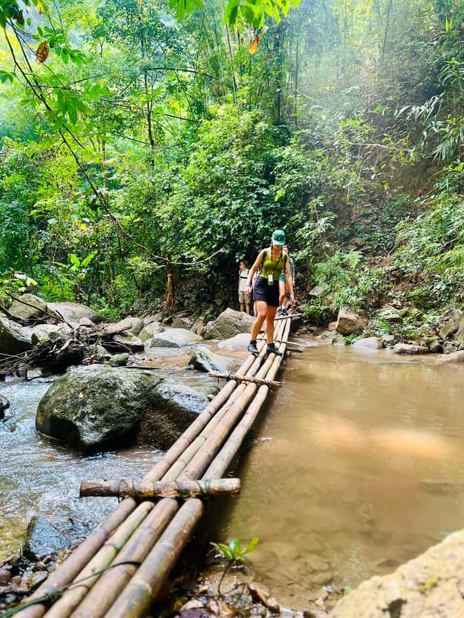Chiang Mai Adventure: Trekking, Tubing & Waterfall Slide - Key points at a glance