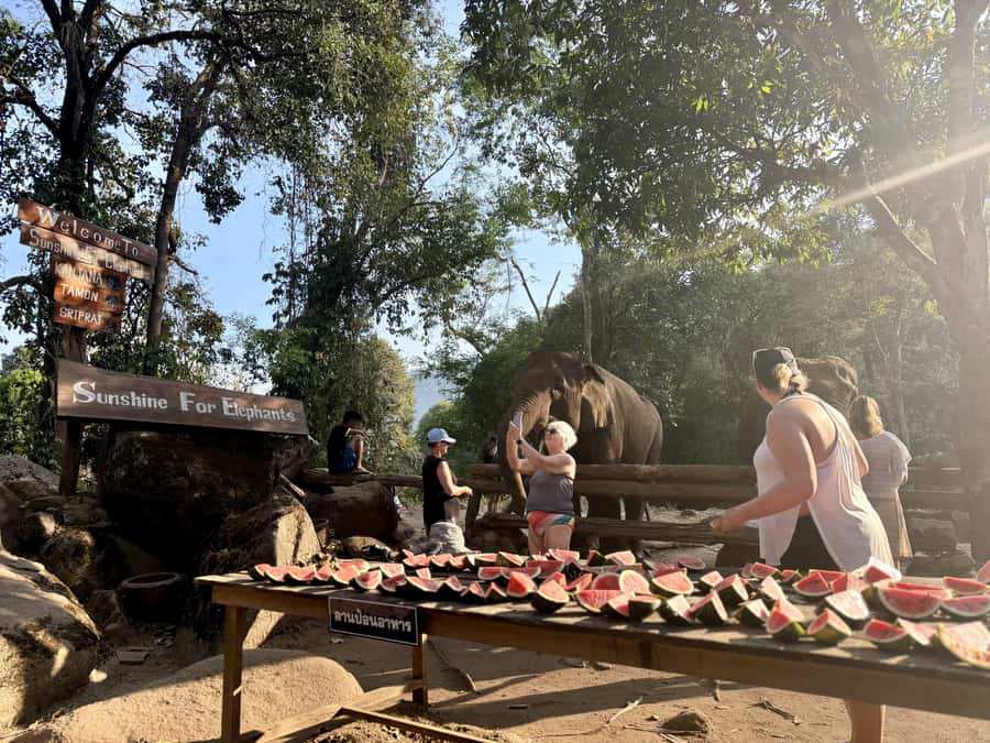 Chiang Mai Adventure: Trekking, Tubing & Waterfall Slide - Thai lunch and a real break at base camp