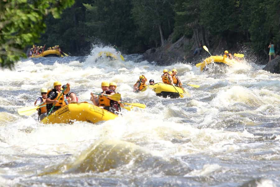 Chiang Mai ATV & White Water Rafting & Trekking to Waterfall - Key points at a glance