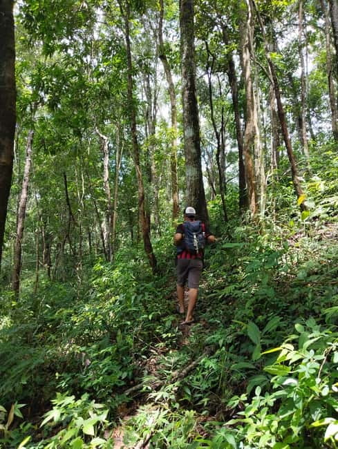 Chiang Mai Authentic Trekking - What the $57 price covers