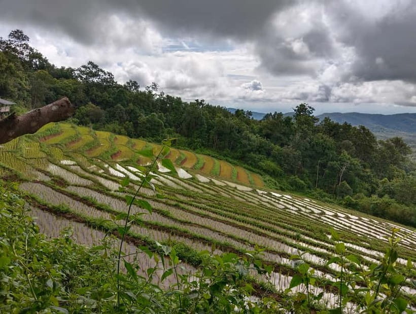 Chiang Mai Authentic Trekking - Reaching Phalai Mountain