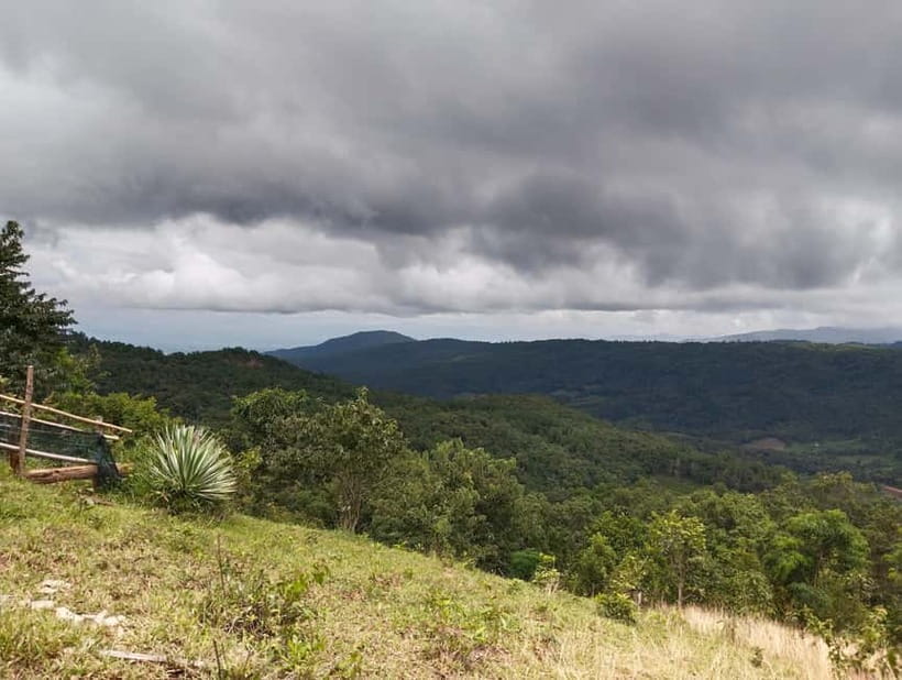 Chiang Mai Authentic Trekking - Farms, coffee, and the walk downhill