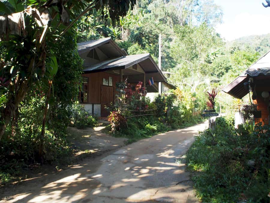 Chiang Mai: Chiang Dao Caves and Jungle Trek with Lunch - Why this Chiang Dao day feels different from a city excursion