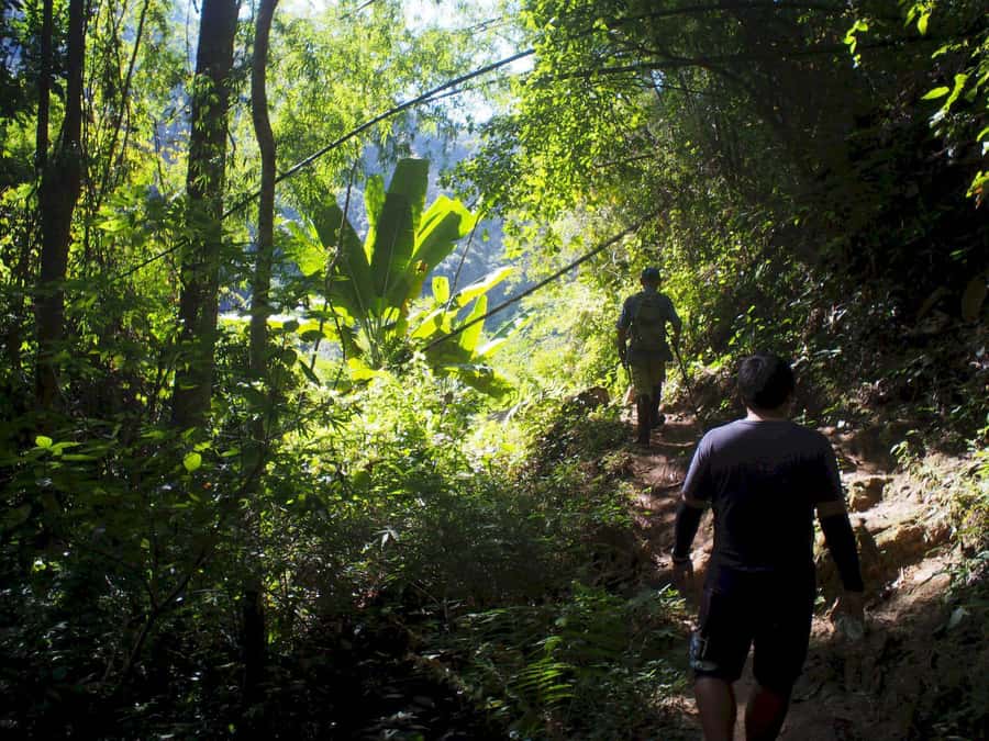 Chiang Mai: Chiang Dao Caves and Jungle Trek with Lunch - Chiang Dao Caves bring a quieter kind of drama