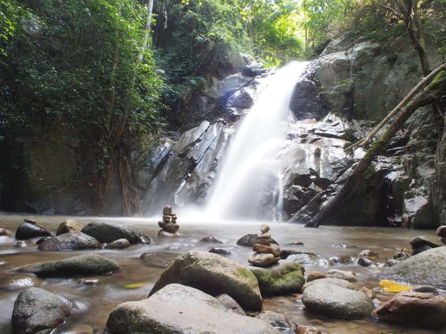Chiang Mai: Chiang Dao Caves and Jungle Trek with Lunch - A hot-spring break helps reset your legs