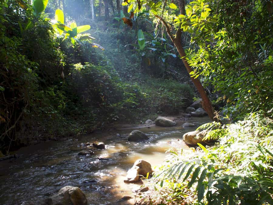 Chiang Mai: Chiang Dao Caves and Jungle Trek with Lunch - Is $109 a fair price for this private day?