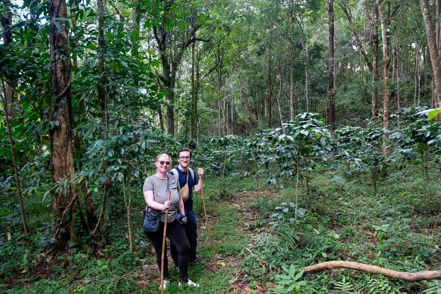Chiang Mai Coffee Full Day Tour: Trek, Brew & Roast Journey. - A coffee day that begins in the forest
