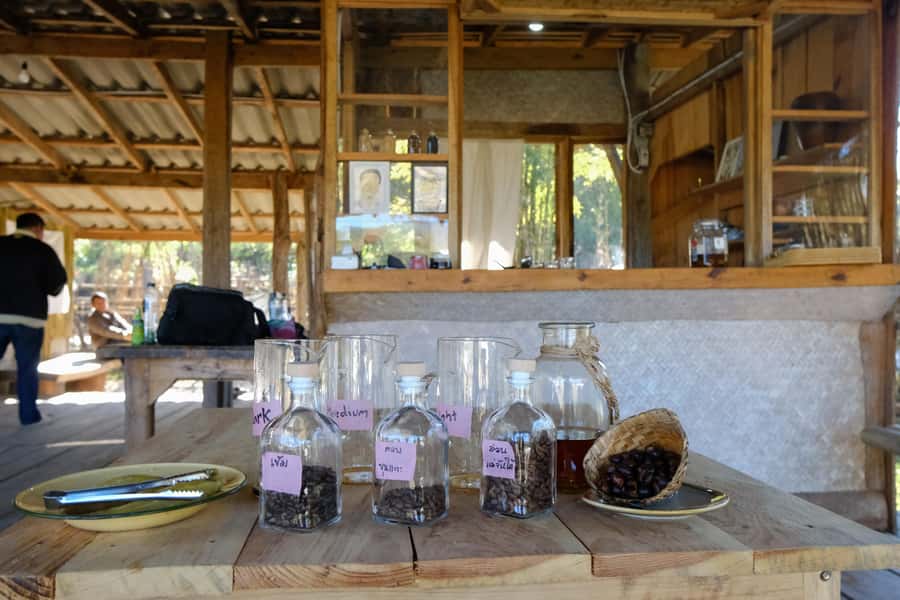 Chiang Mai Coffee Full Day Tour: Trek, Brew & Roast Journey. - Who should book this day