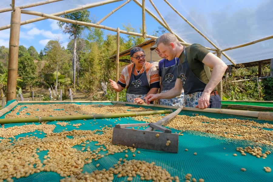 Chiang Mai Coffee Full Day Tour: Trek, Brew & Roast Journey. - A home-cooked vegetarian lunch