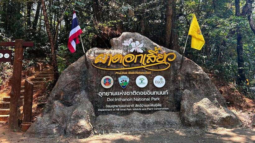 Chiang Mai: Doi Inthanon National Park and Pha Dok Siew Trek - Key points to know before booking
