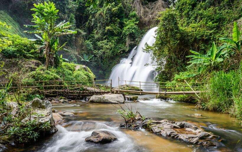 Chiang Mai: Doi Inthanon National Park and Pha Dok Siew Trek - Thailand’s highest park and the mountain air