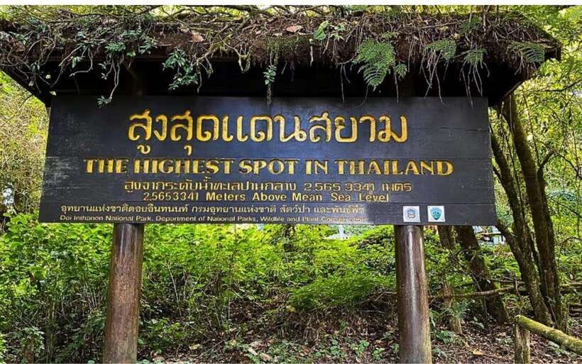 Chiang Mai: Doi Inthanon National Park and Pha Dok Siew Trek - The Twin Pagodas and their mountain gardens