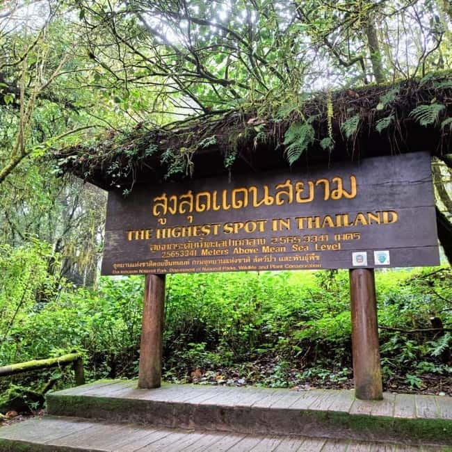 Chiang Mai: Doi Inthanon National Park+Trek Pha Dok Siew - Pha Dok Siew Nature Trail: the heart of the tour