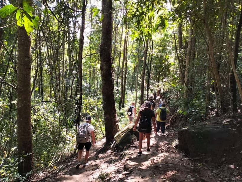 Chiang Mai: Doi Inthanon National Park+Trek Pha Dok Siew - Ban Mae Klang Luang and coffee in a Karen village