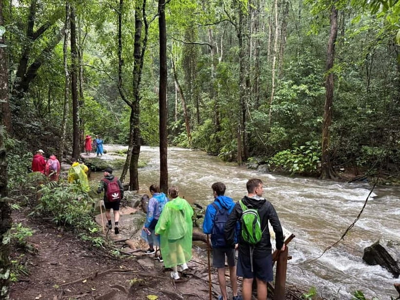 Chiang Mai: Doi Inthanon Park & 2 Hrs Trekking Pha Dok Siew - Cool air and high views at Thailand’s highest point