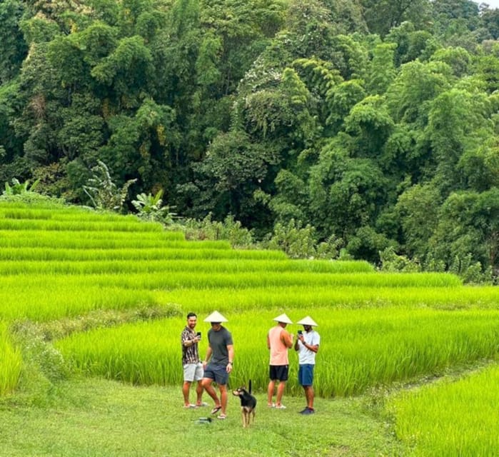 Chiang Mai: Doi Inthanon Park and Pha Dok Siew Trail Trek - Wachirathan Waterfall and the final photo stop