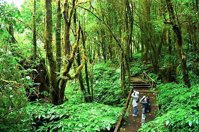 CHIANG MAI: Doi Inthanon-Trekking Keiw Mae Pan-Waterfall-Lunch - The waterfall stop adds a welcome change of pace