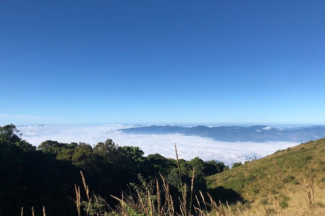 CHIANG MAI: Doi Inthanon-Trekking Keiw Mae Pan-Waterfall-Lunch - Kew Mae Pan Trail: the day’s main event