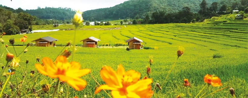 Chiang Mai: Doi Inthanon Trip with Pha Dok Siew Guided Trek - Who will get the most from this tour