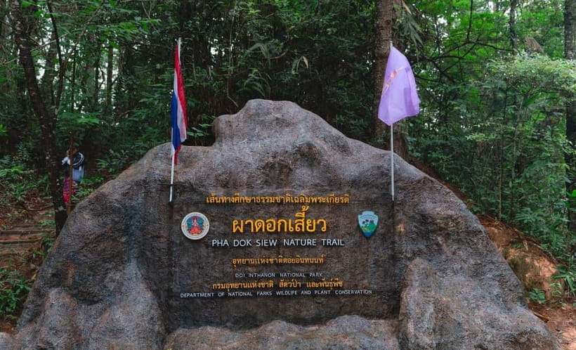 Chiang Mai: Doi Inthanon Trip with Pha Dok Siew Guided Trek - Why this mountain day works so well